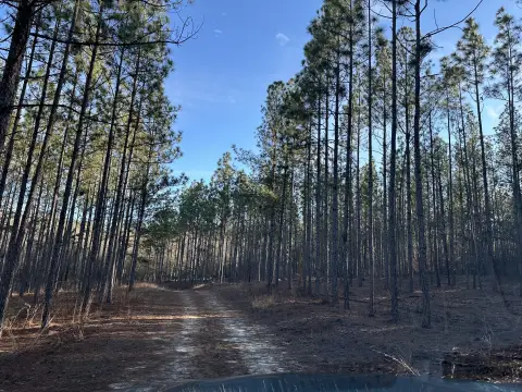 Aiken Land Tract For Sale