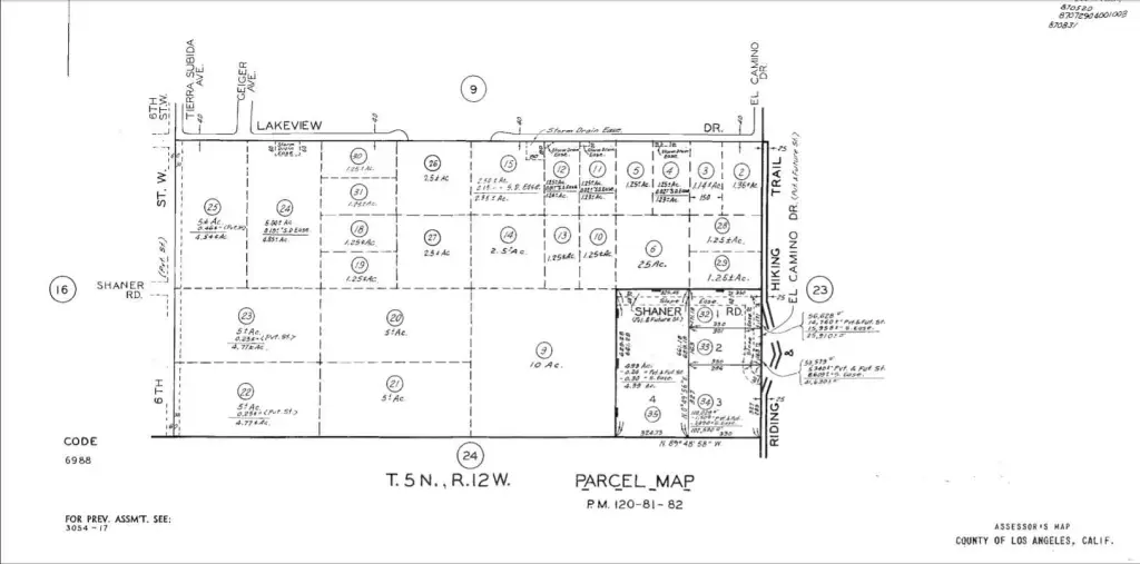 Picture 12