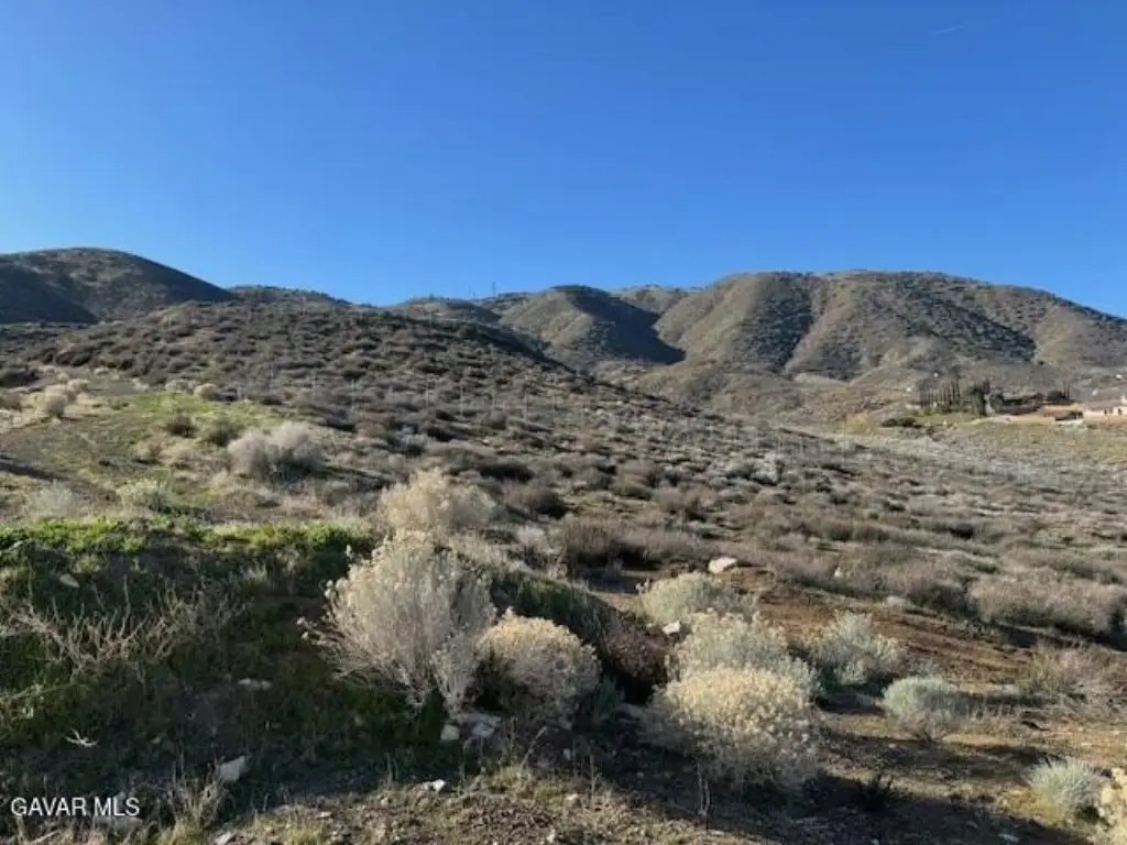 Picture 30