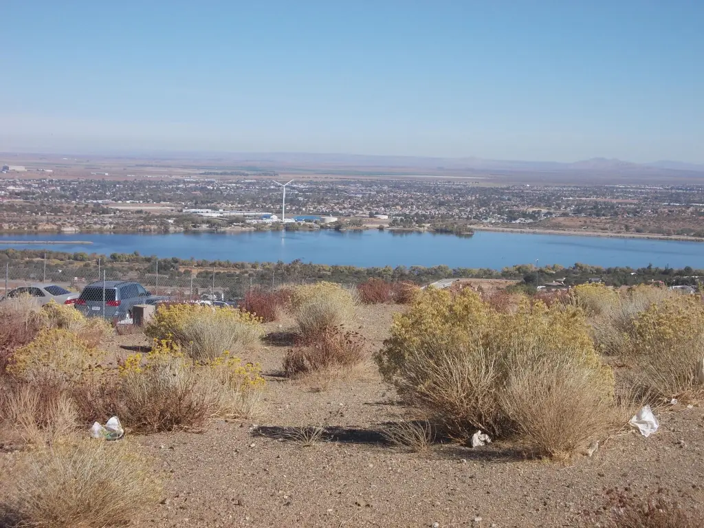 Picture 17