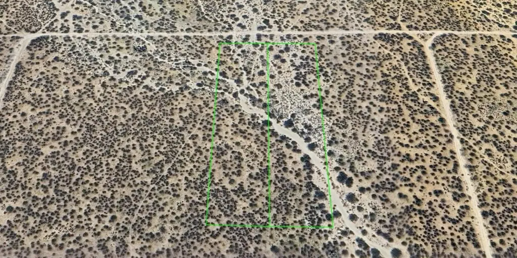 Picture 14