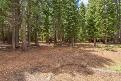 Forested Lot in Tahoe Donner