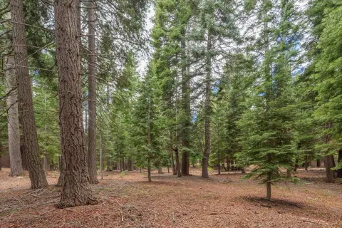 Residential Lot in Truckee, CA