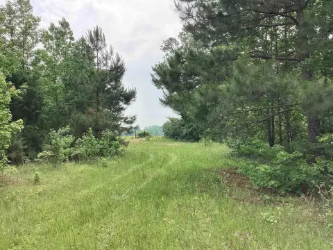 Blevins Acreage with Hunting Potential