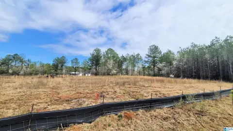 Harpersville Land with Coosa River Access