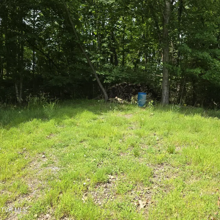 Picture 18