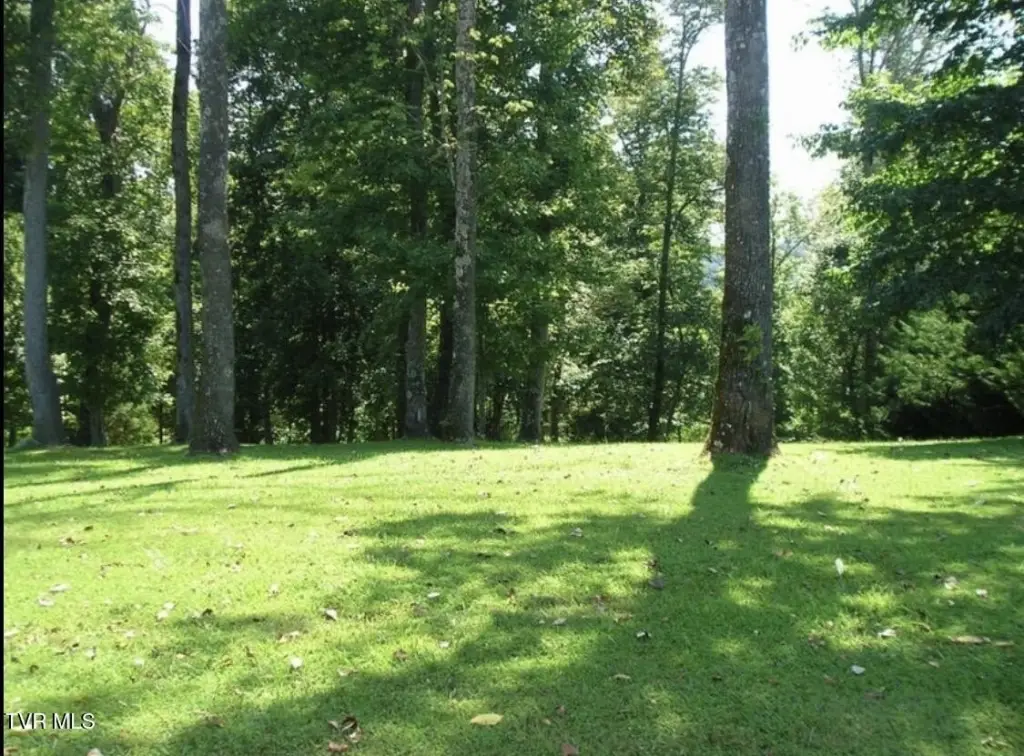 Picture 46