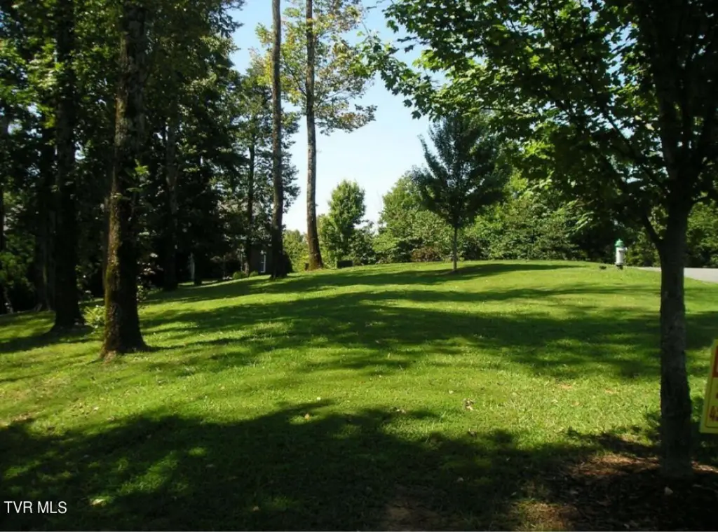 Picture 38
