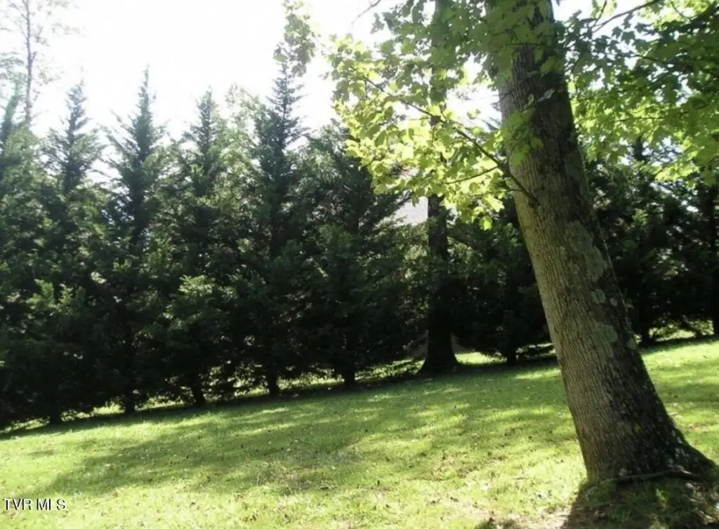 Picture 51
