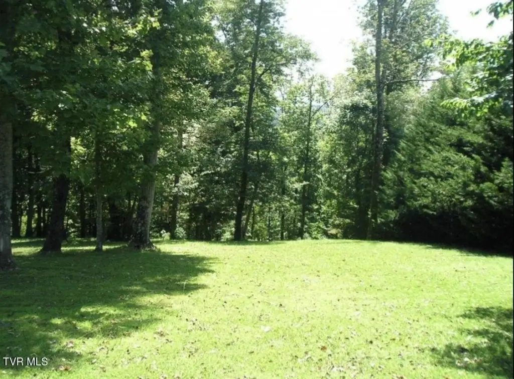 Picture 45