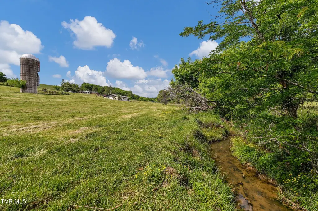 Picture 29
