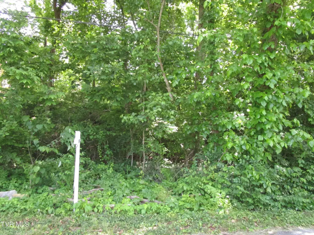 Picture 13