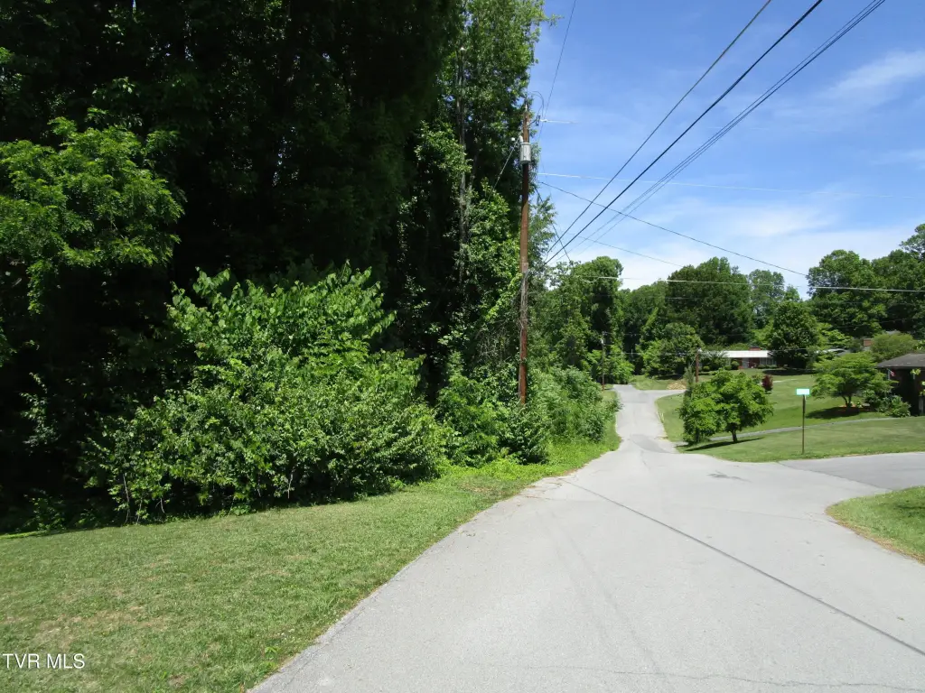 Picture 3