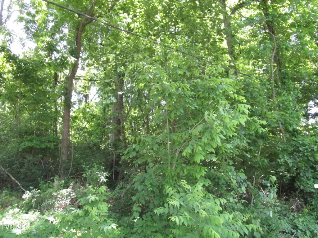 Picture 14
