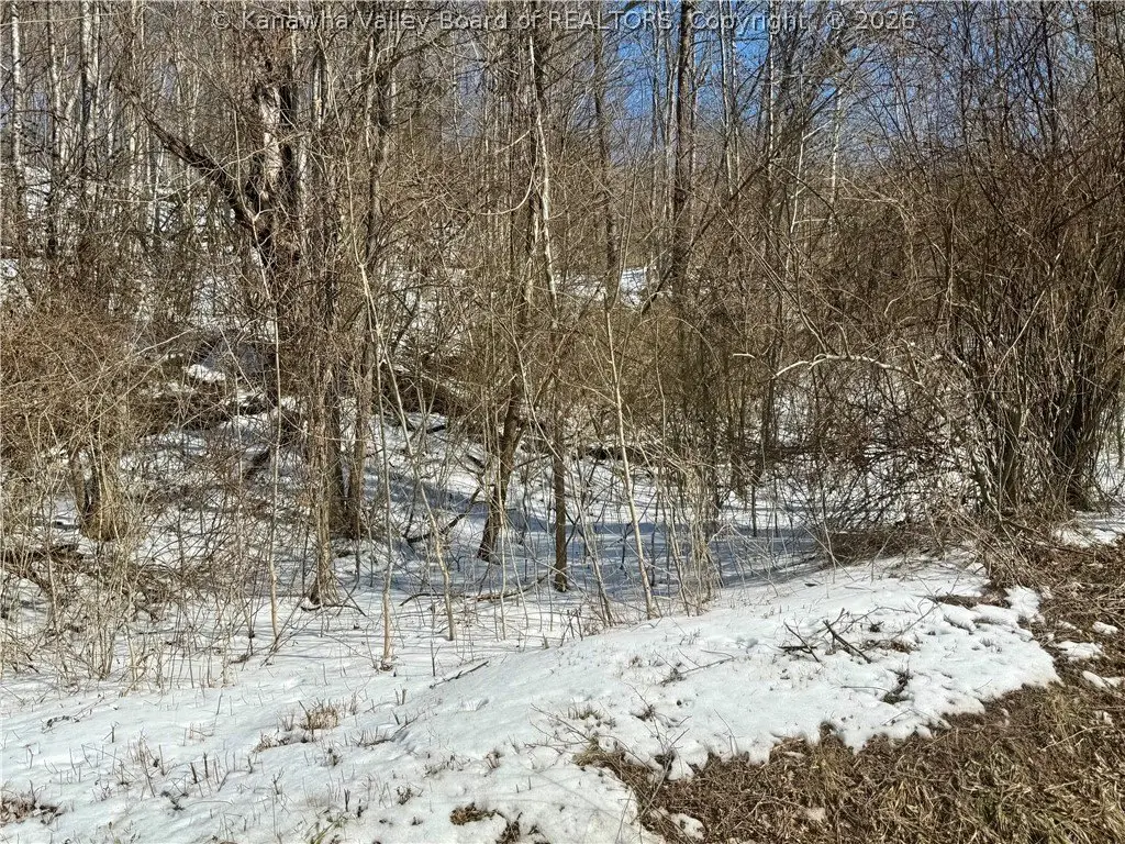 Picture 9