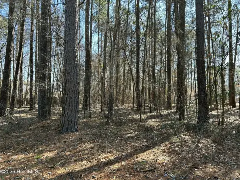 Buildable Lot Near Chowan River