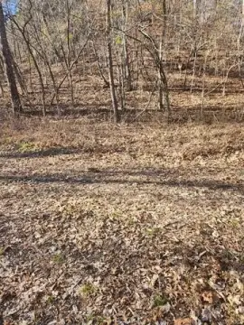 Flint Ridge Resort Lot