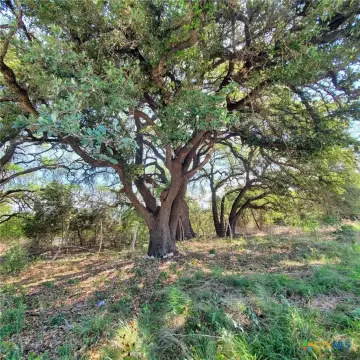 Highway Frontage Commercial Development Opportunity