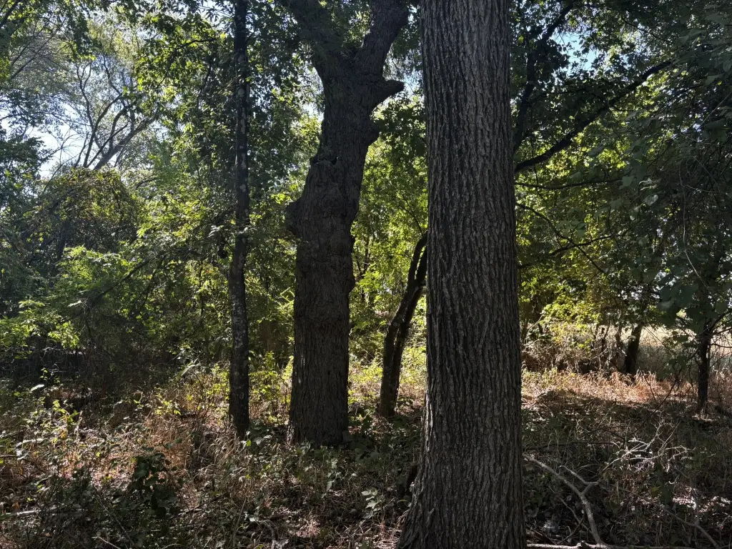 Picture 25