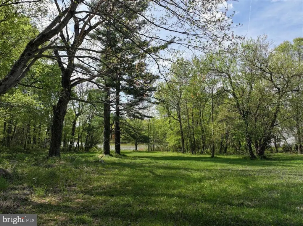 Picture 7