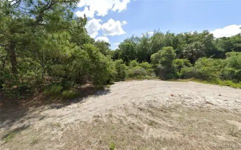 Port Charlotte Wooded Lot For Sale