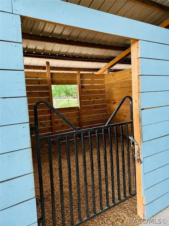 Picture 17