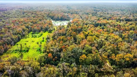 EDGEWATER, FL - Untouched Land