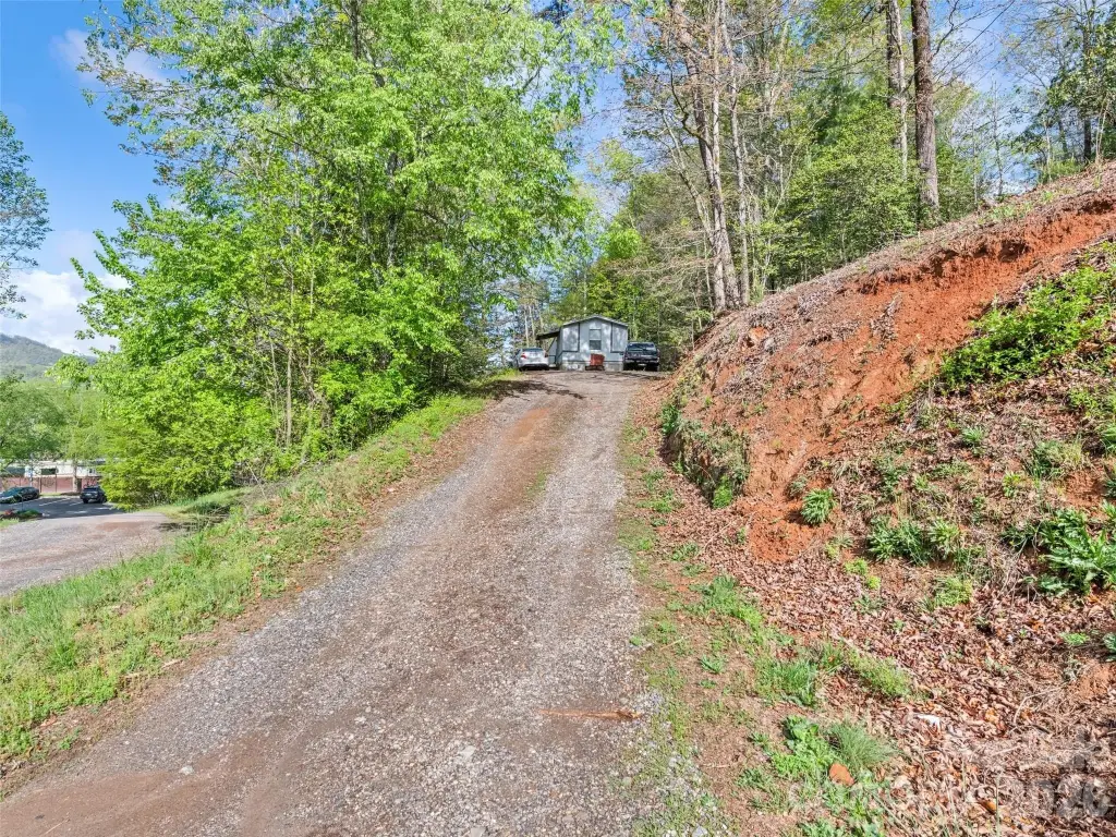 Picture 15