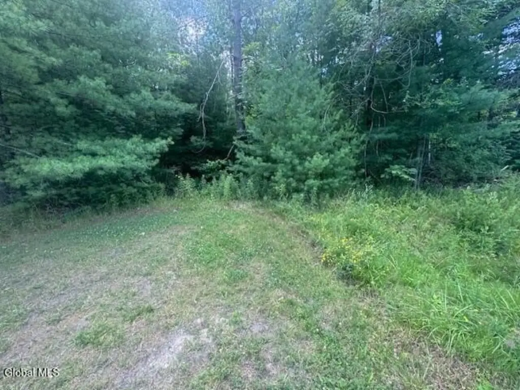Picture 53