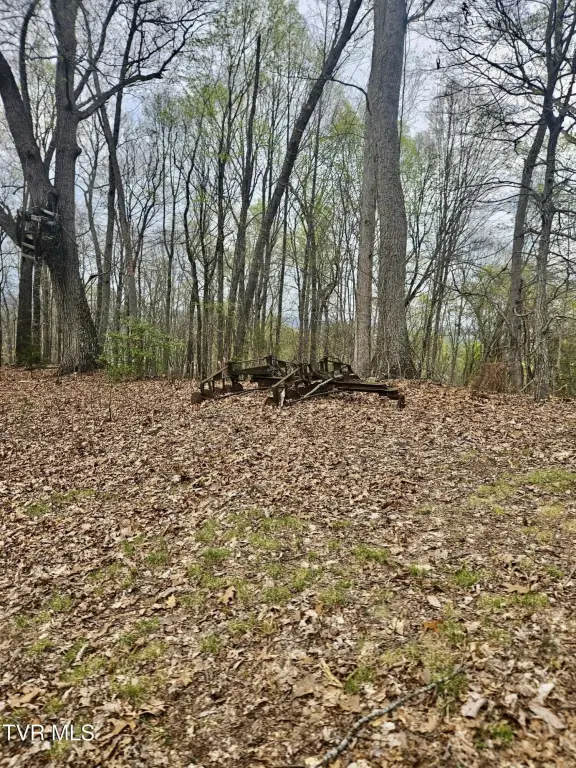 Picture 10