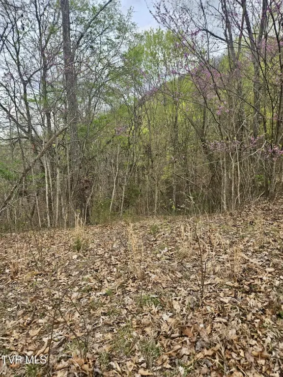 Picture 16