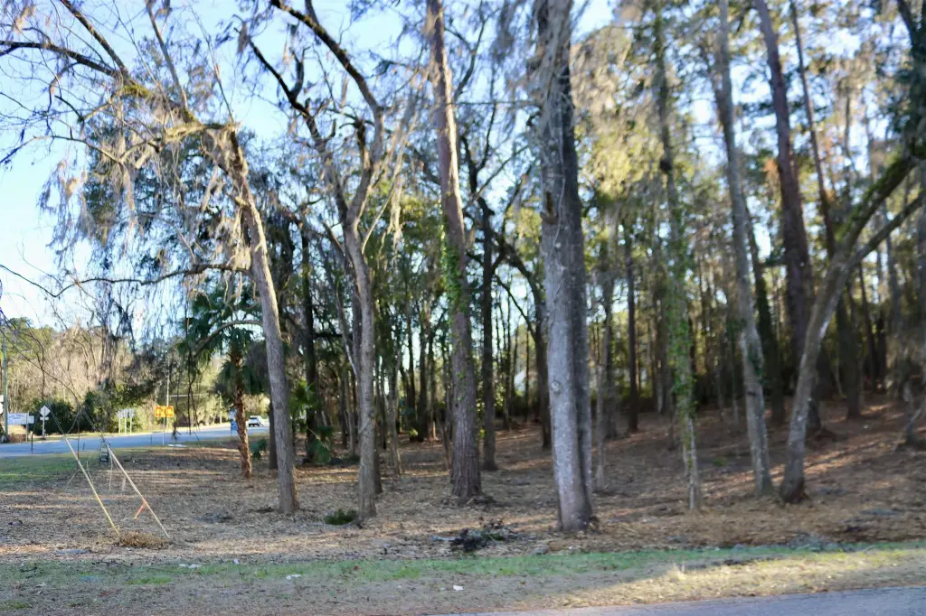Picture 7