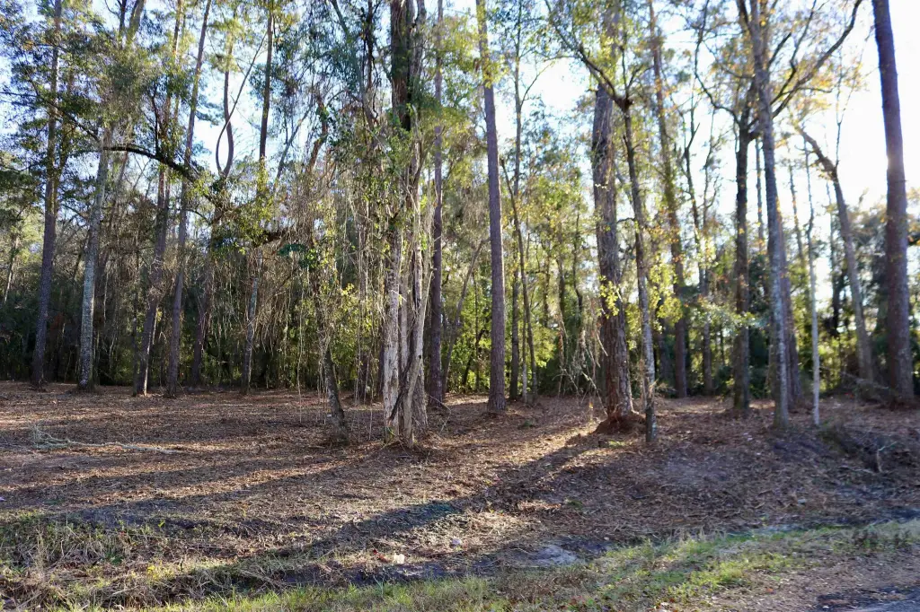 Picture 9