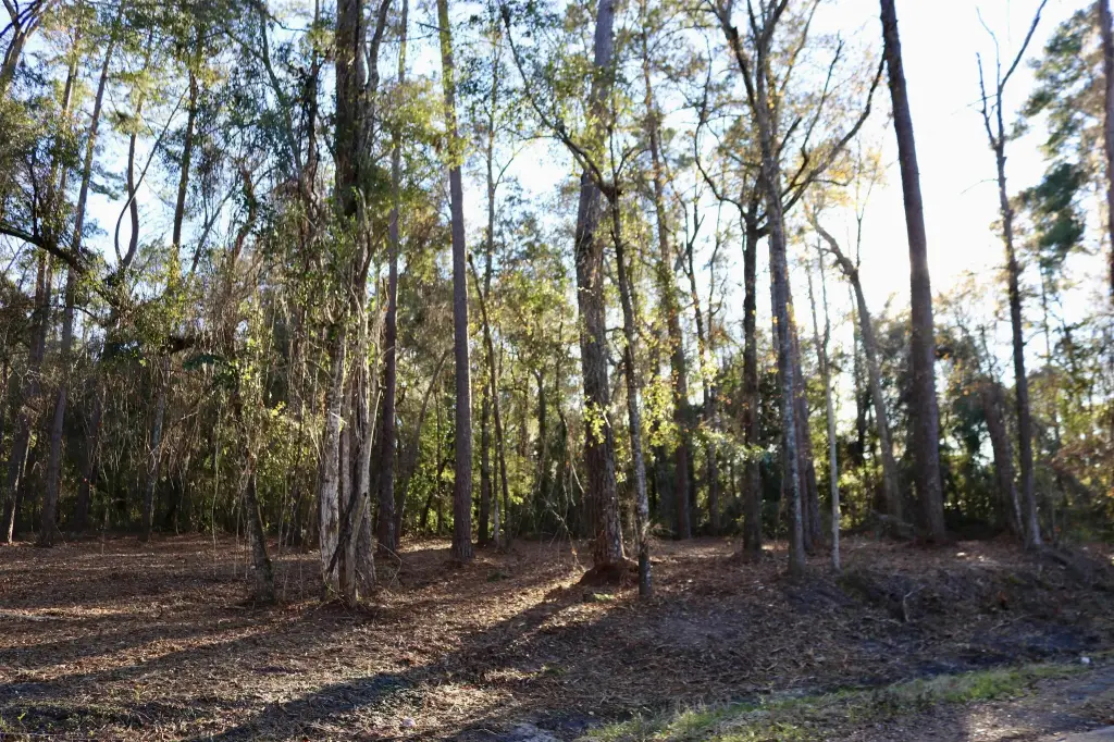 Picture 14
