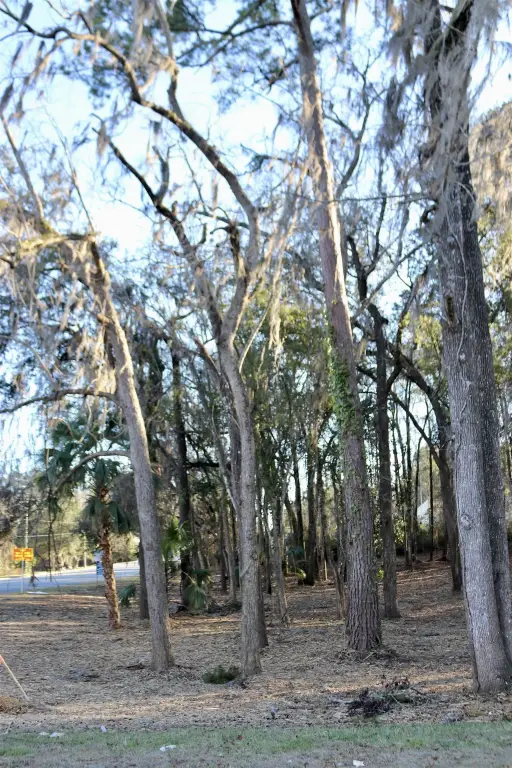Picture 13