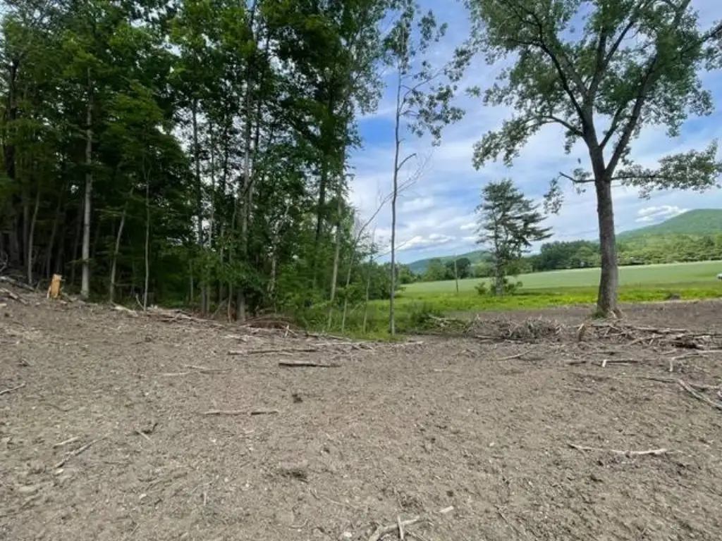 Picture 14