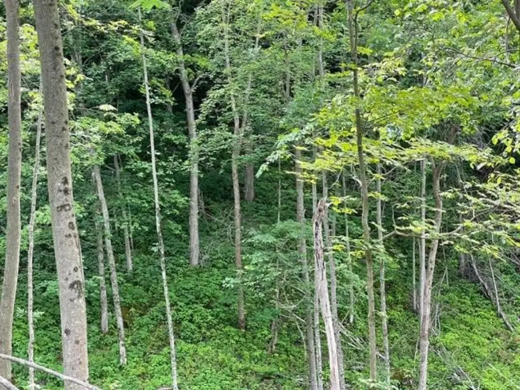 Picture 12