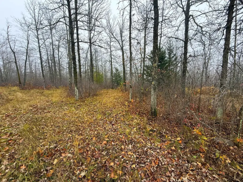 Picture 13