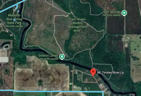 Wooded Land Near Withlacoochee River