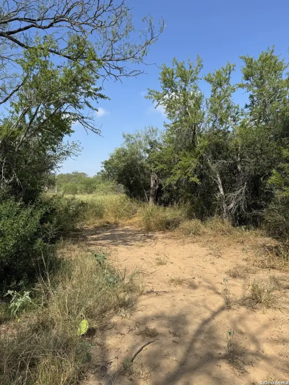 Picture 23
