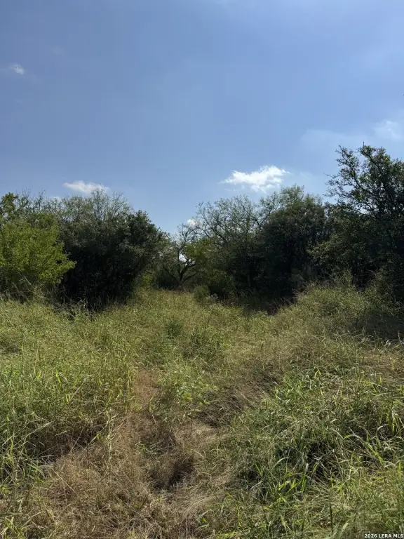 Picture 21