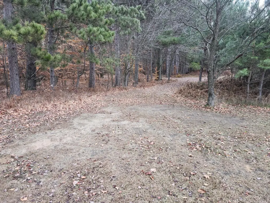 Picture 7