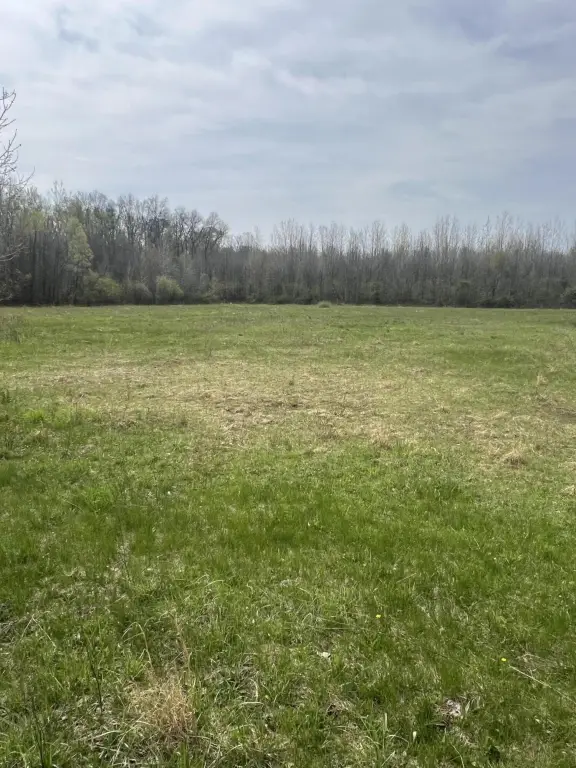 Picture 12