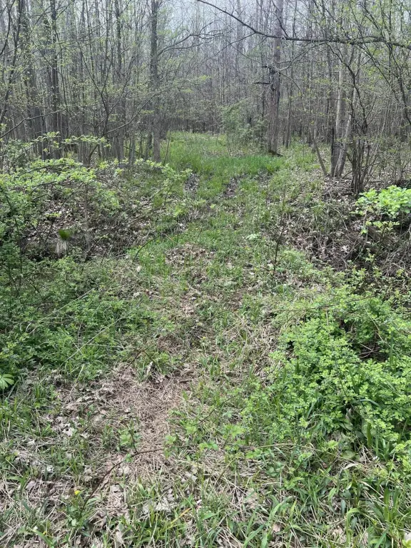 Picture 17