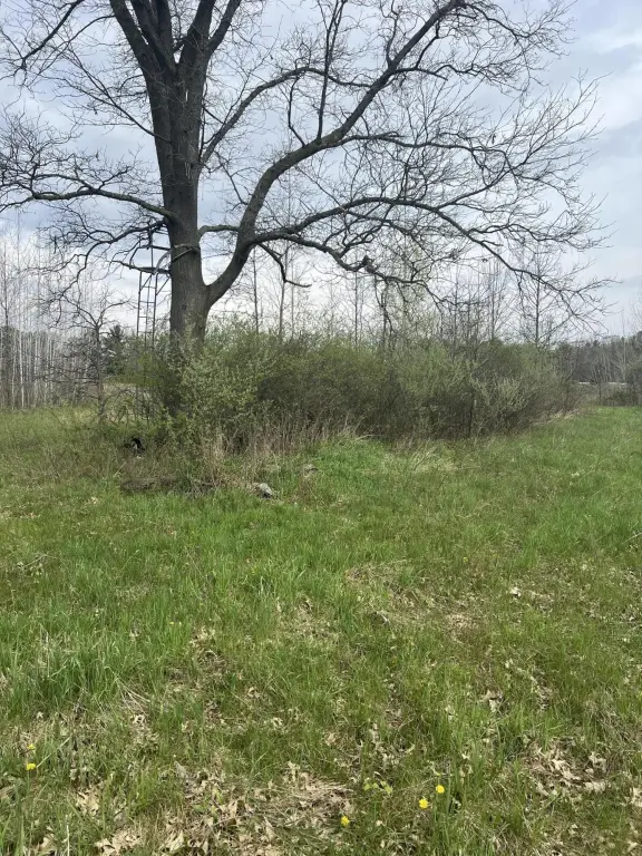Picture 20