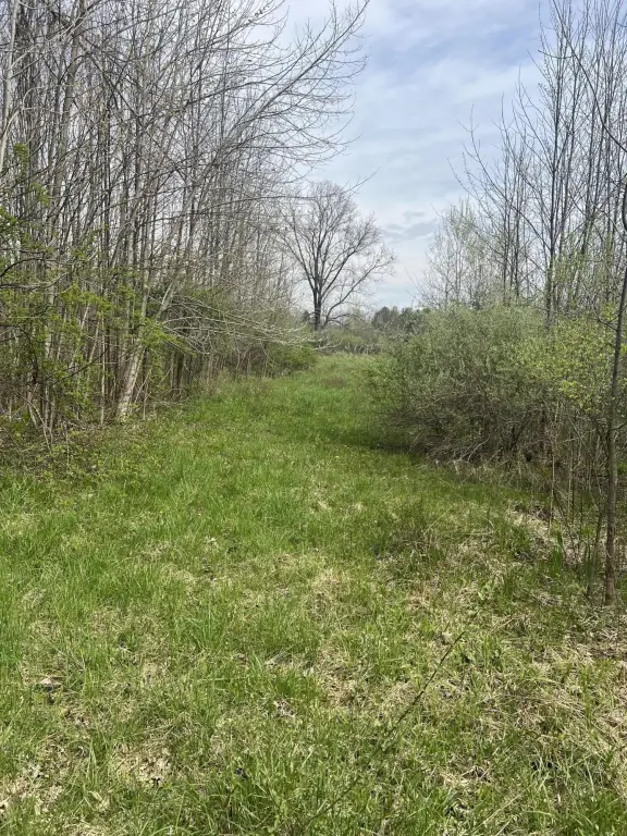 Picture 14