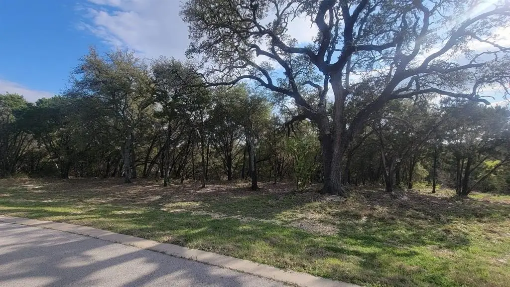 Picture 29