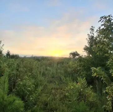 Land in Troy, South Carolina