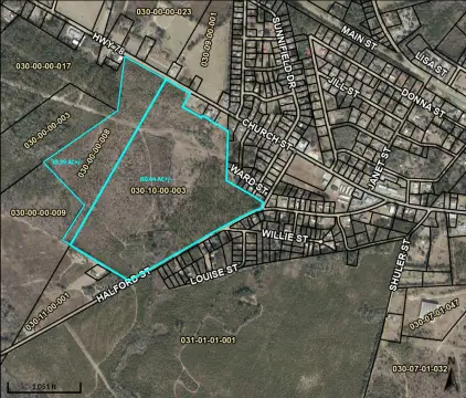 110+ Acres in Williston, SC