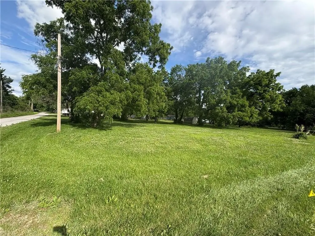 Picture 5